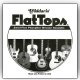 D'Addario FT026 Semi-Flat Phosphor Bronze Acoustic Guitar Single String, .026