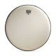 6" Remo Renaissance Diplomat Tom And Snare Drum Drumhead, DISCONTINUED, IN STOCK