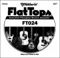 D'Addario FT024 Semi-Flat Phosphor Bronze Acoustic Guitar Single String, .024