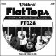 D'Addario FT028 Semi-Flat Phosphor Bronze Acoustic Guitar Single String, .028